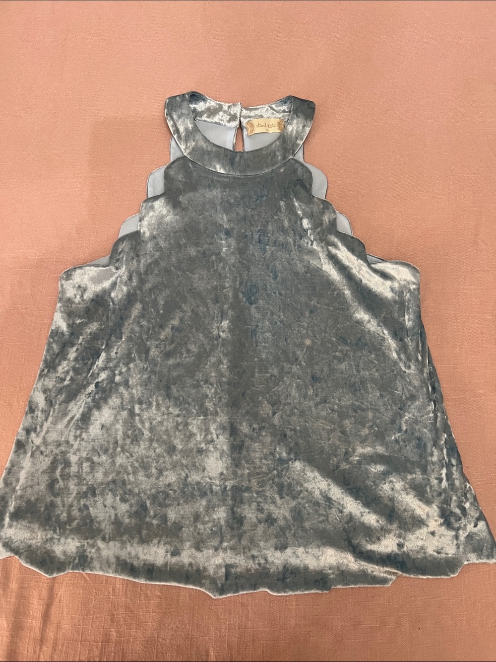 Altar'd State Silver Velvet Tank Top